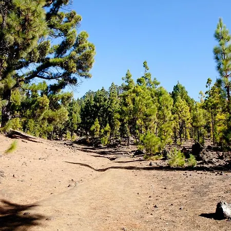 La Vista Otel Guía de Isora